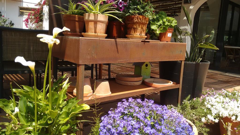 Horta D'En Rahola - Adults Only Hotel กาดาเกส ภายนอก รูปภาพ